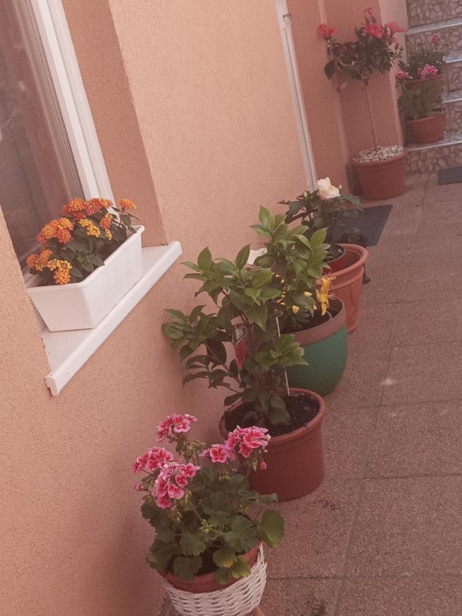 Erna Apartman Zalakaros Eksteriør bilde